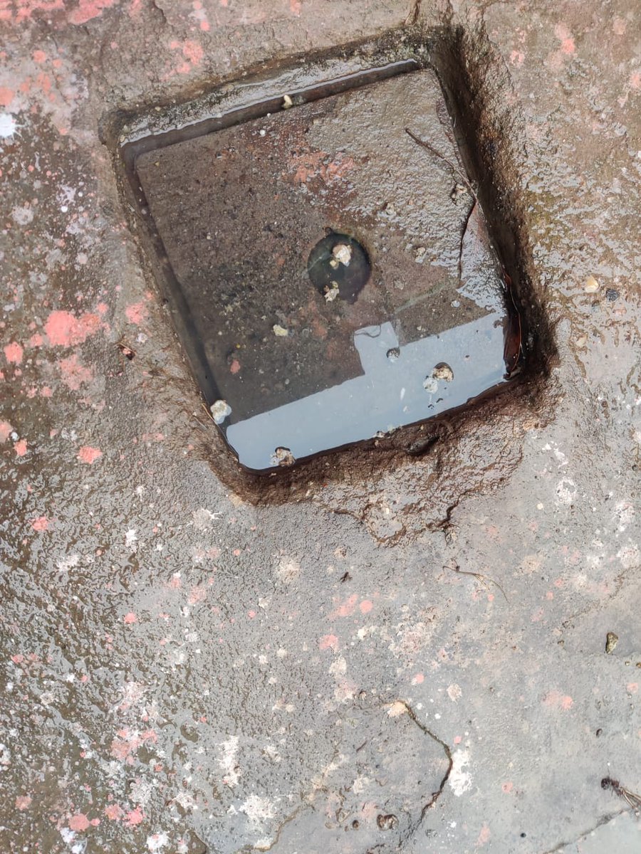 pushpendra2793's tweet photo. Sewage overflow in backyard in chandigarh sec32A,no resolve repeated complaints to CPWD, svrl complaint on CPWD Sewa portl cmplint no-26892050 dt10/2/24, 26913793 dt13/2/24, 27293513 dt8/4/24 &amp; 27352733 dt15/4/24.
@CPWDGOV @chandigarh_admn @SwachhBharatGov @MCChandigarh @PMOIndia https://t.co/CYvuKjhpXY