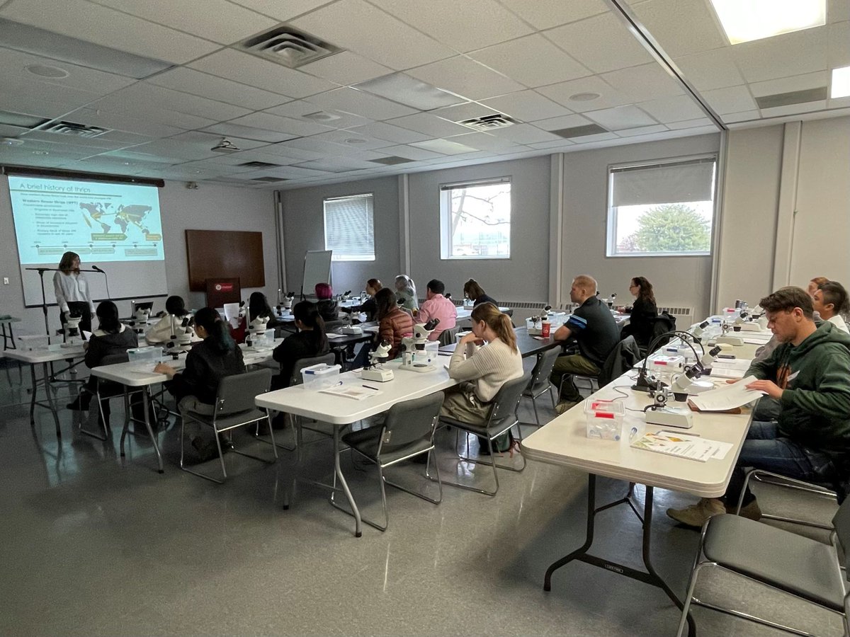 Hey #LeamingtonON ~ Join us May 16th for our in-person #Thrips identification workshop! This 3hr session will equip you with the skills needed to identify various species found in #greenhouse crops. More information and pre-registration available at 👉qrco.de/thrips