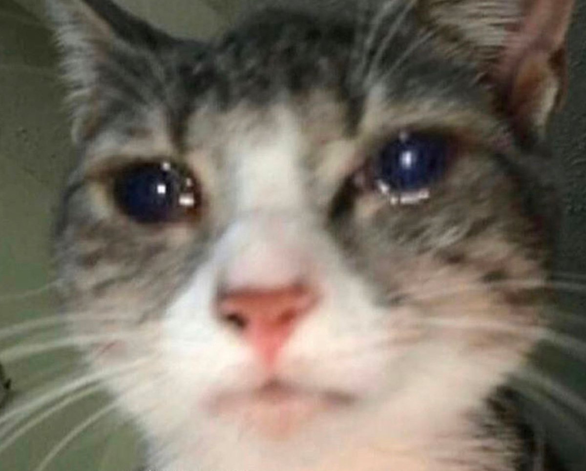 9GAG's tweet photo. When you really want to continue the conversation but have no idea what to say https://t.co/EvT5dsMuiT