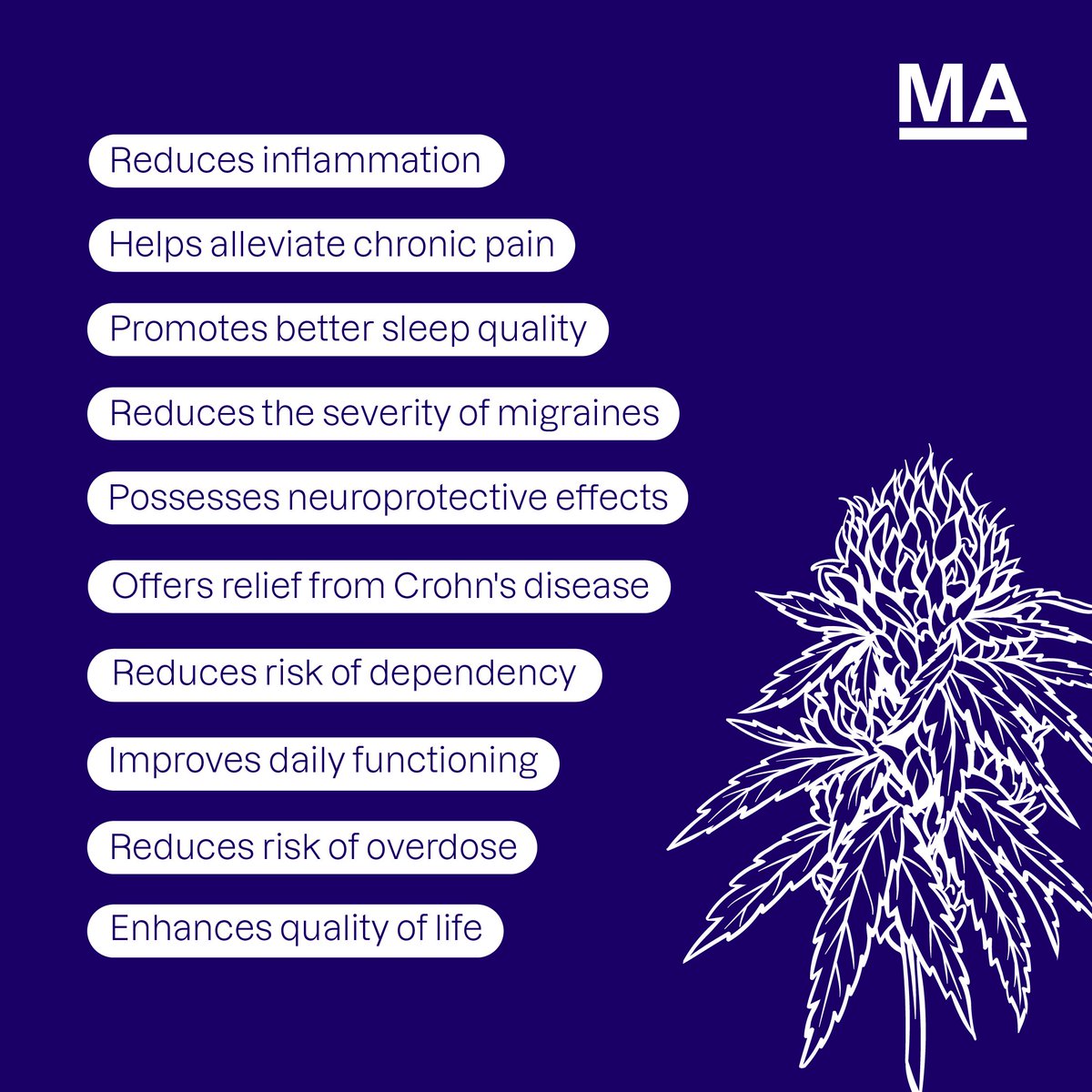 MAMEDICA® tweet media