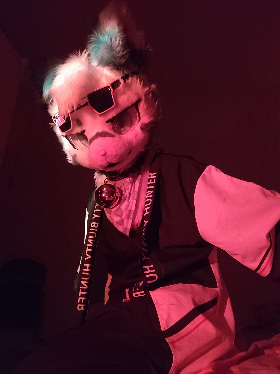 翼虎🐯大武 tweet media