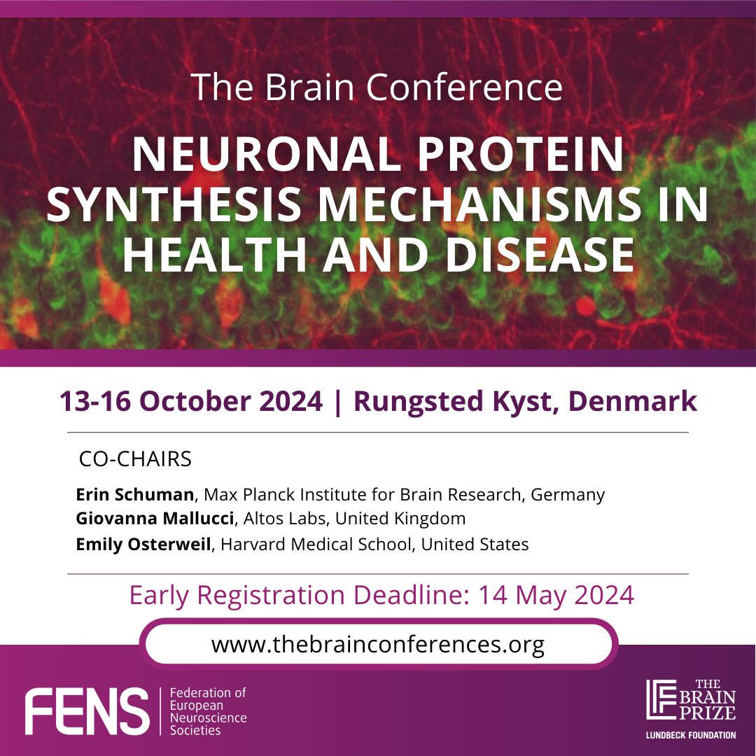 🧠 One month left to register for the October #BrainConference! 🧬 Don't miss this opportunity to discover more about the role of #protein synthesis for neuronal functions! 📅 Register by 14 May at: loom.ly/xdcmHRQ @Lundbeckfonden @BrainPrize @erin_schuman