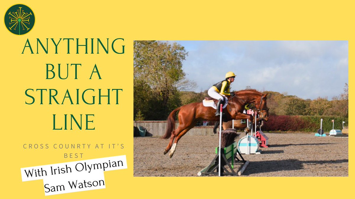 Who knew? A tool from the course designer for the rider 🏇Watch our last video in this series for lots of tips on approaching a jump and test your knowledge on MIM clips.🎥Watch 'Anything but a Straight Line' here on YouTube👉youtu.be/MZUZgBWKBa0?si… #yellowfortiggy #ridefortiggy