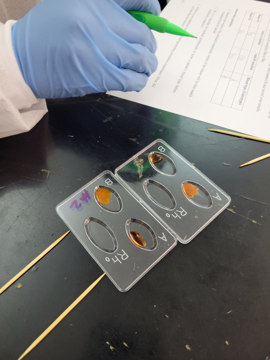 bjmoore1640's tweet image. Thank you @ncscifest and Dr. Sarah Adjei-Fremah for working with my @WileyMS Ss today. They were excited during the lab and had lots of questions. @wsfcs @WSFCS_Science #sciencerocks