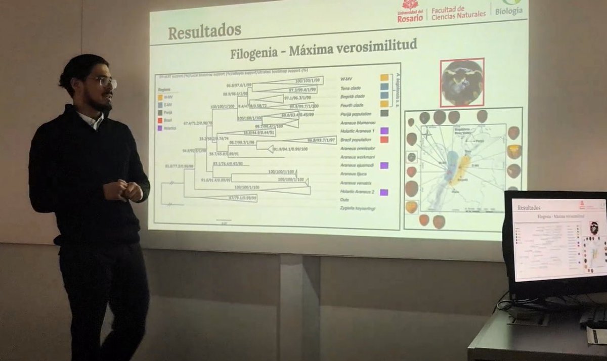 #GeurProjects

Recently our student <a href="/sebasmolecular/">Juan Sebastián Sarmiento</a> successfully defended his undergraduate thesis and here we tell you a little bit about his research 🕷️ 🕸️ 🕷️

🧵