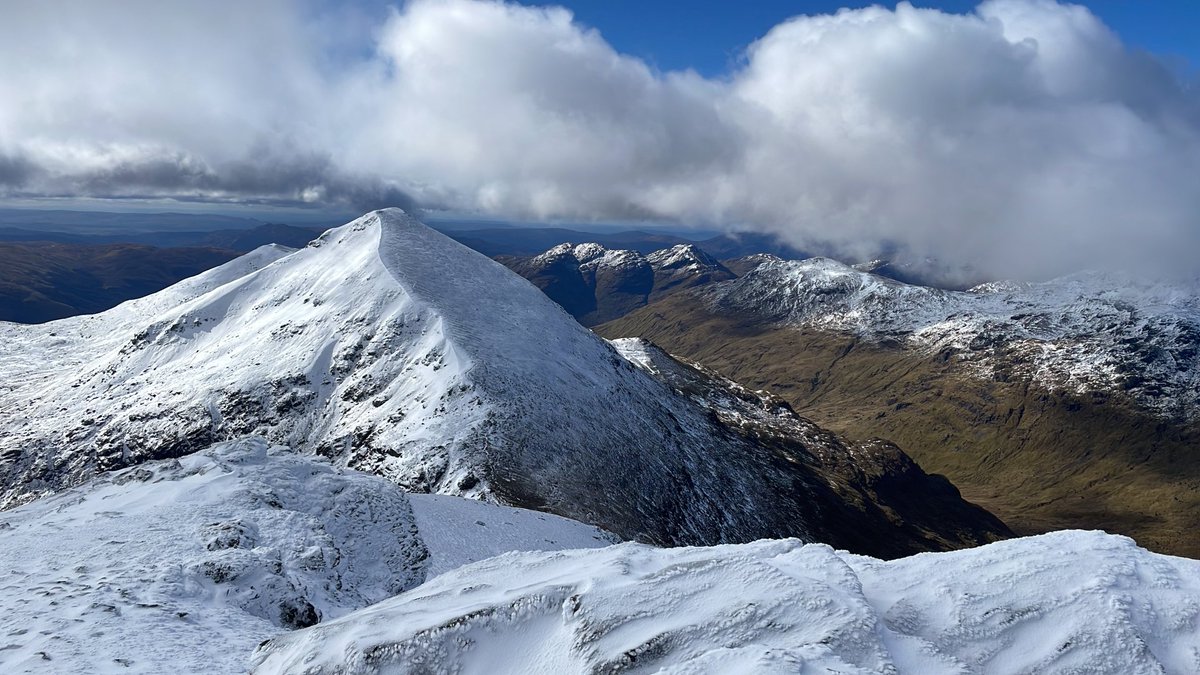 Maria Wimber tweet media