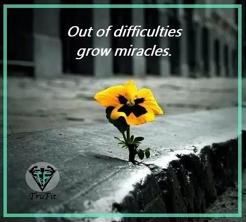 Quote of the day. 

#difficulties #growth #Miracles #inspiration #motivation #determination #quotes #quotesoftheday #thoughts #goals #dreams #success #mindset #self #confidence #courage #love #life #follow #daily #positivity #dailymotivation #Commit #Neverquit #TruFit #Fitness