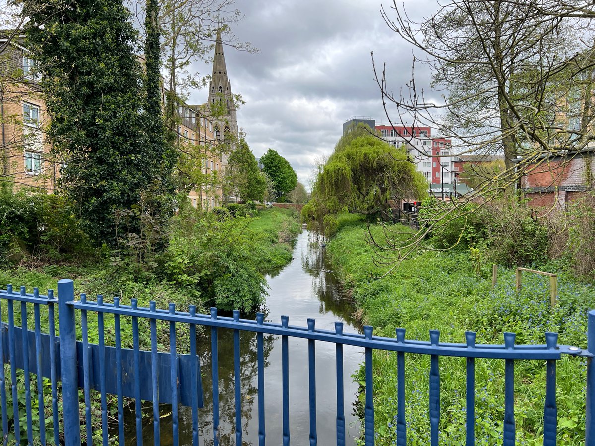 #virtualtour of the Crane Valley: Longford River, viewed from Feltham Station @Hounslow, April 2024. @theroyalparks @ThamesLandscape @GreenFeltham @FriendsRivCrane @habsandheritage