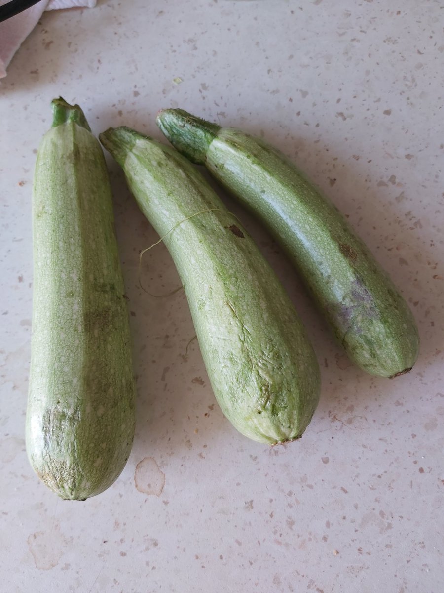 Bir market zinciri o kadar sikayetin ustune hic mi duzelmez ya,hic mi gocunmuyorsunuz,hic mi bozulmuyorsunuz?? <a href="/MSanalMarket/">Migros Sanal Market</a> bir siparisimde sorunsuz olsun!!ya bozuk,ya eksik,ya sormadan siparis iptali..hep sorun hep sorunsunuz!! Bu kabaklari da afiyetle siz yiyin!!