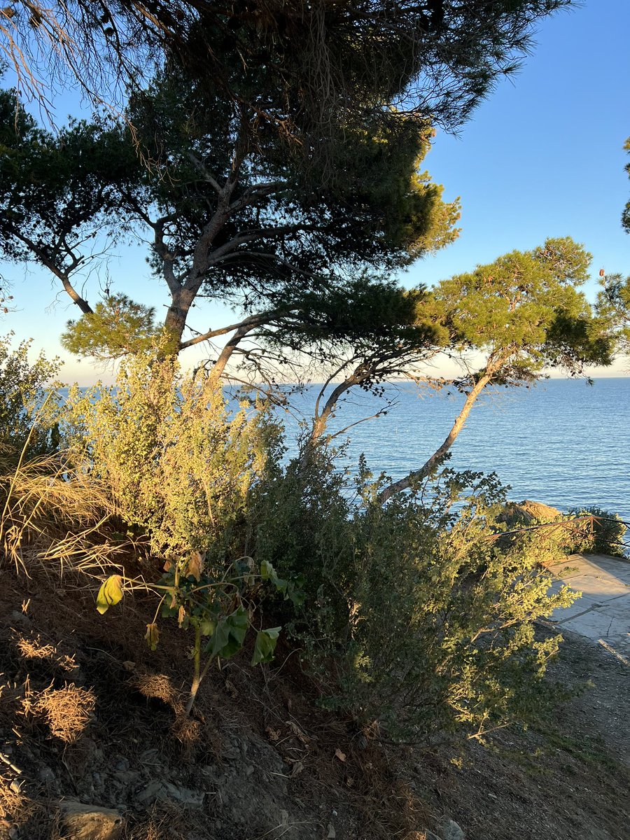 lxurez's tweet photo. je reconfirme pour tt le monde : vive le sud https://t.co/i2GOVzm4KZ