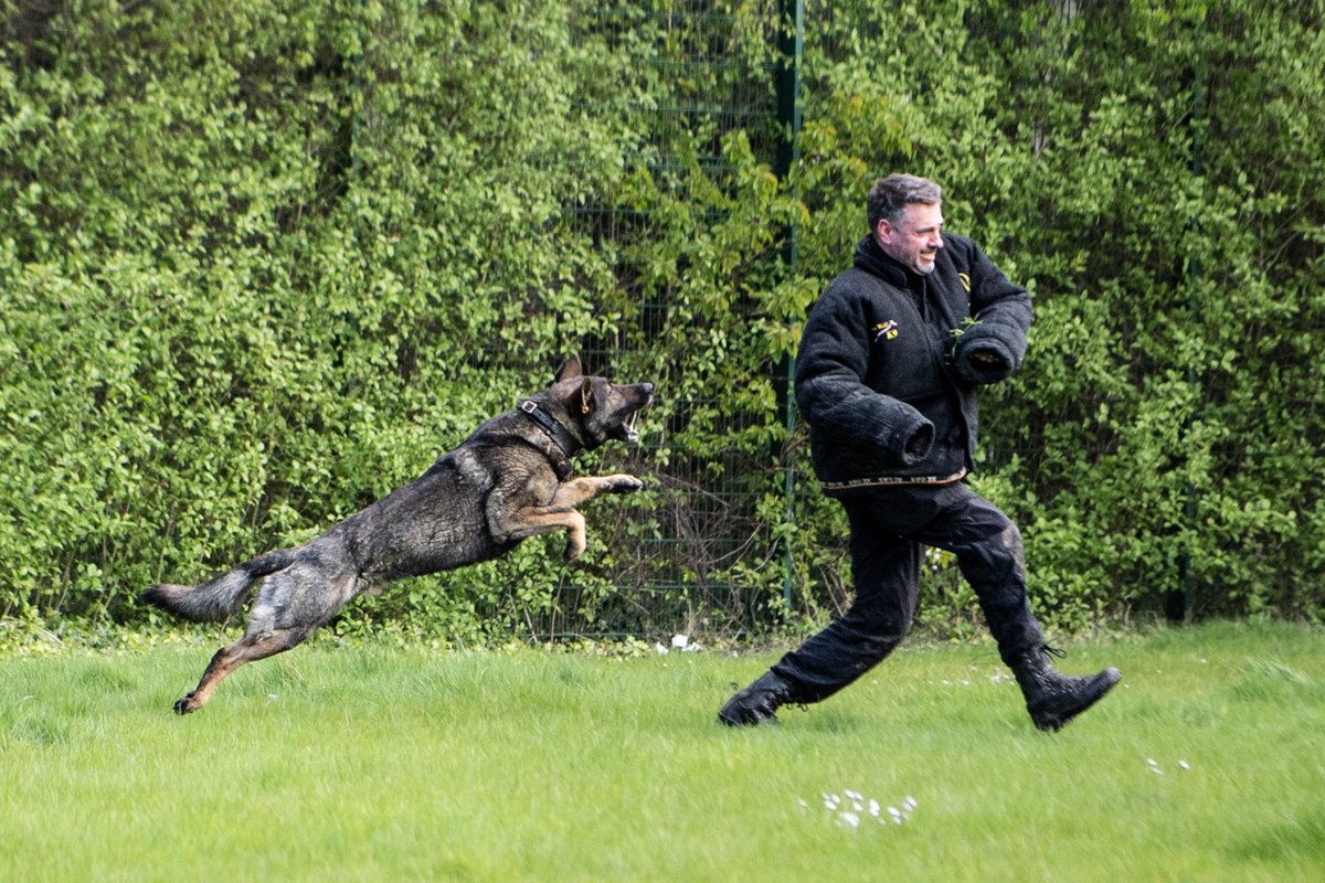 West Yorkshire Police tweet media