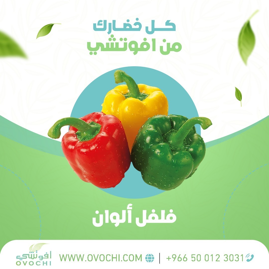 1Ovochi's tweet photo. كل خضارك من أفوتشي  
خضار ماركت مكان واحد لكل إحتياجاتك 
بنختارلكم الأفضل دائما
  ✅ اختار صح اختار خضار افوتشي  
#خُضار_بتضمن_لكل_عملائها_جودة_مضمونة_100% 
🤳 متواجد بـــــ جده والرياض  
✨ حي  الملز
✨ حي الروضة 
📞 +966 50 012 3031 
#اكل #خضار #طازجة #فواكه_طازجة #سلة_فواك https://t.co/nMr6tjFY6E