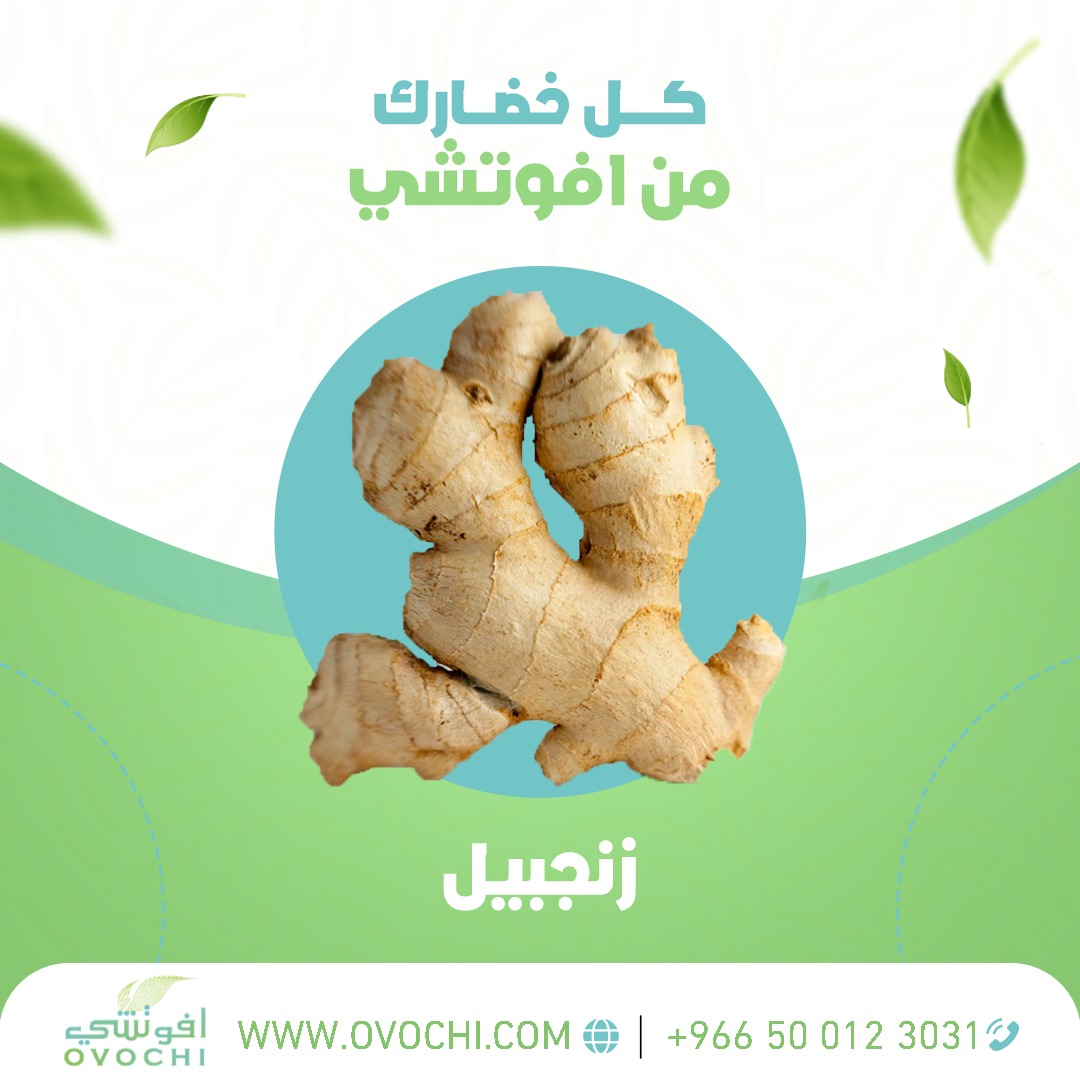 1Ovochi's tweet photo. كل خضارك من أفوتشي  
خضار ماركت مكان واحد لكل إحتياجاتك 
بنختارلكم الأفضل دائما
  ✅ اختار صح اختار خضار افوتشي  
#خُضار_بتضمن_لكل_عملائها_جودة_مضمونة_100% 
🤳 متواجد بـــــ جده والرياض  
✨ حي  الملز
✨ حي الروضة 
📞 +966 50 012 3031 
#اكل #خضار #طازجة #فواكه_طازجة #سلة_فواك https://t.co/nMr6tjFY6E