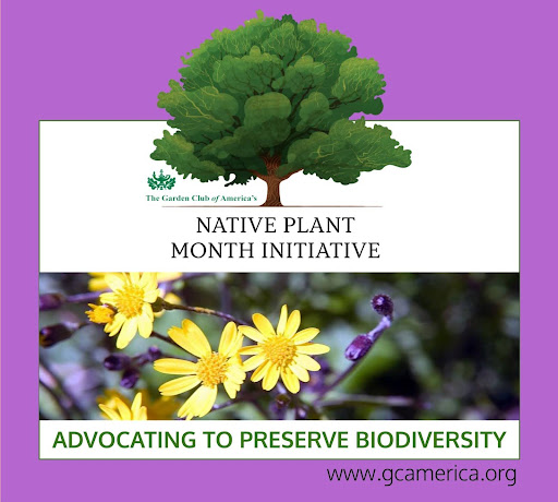 Thanks to the GCA, its member clubs, and collaborating organizations, April is Native Plant Month 2024 in many states across the country! What can you do? Leave leaf litter and dried stems in your garden beds well into spring to provide microhabitats for insects and native bees.