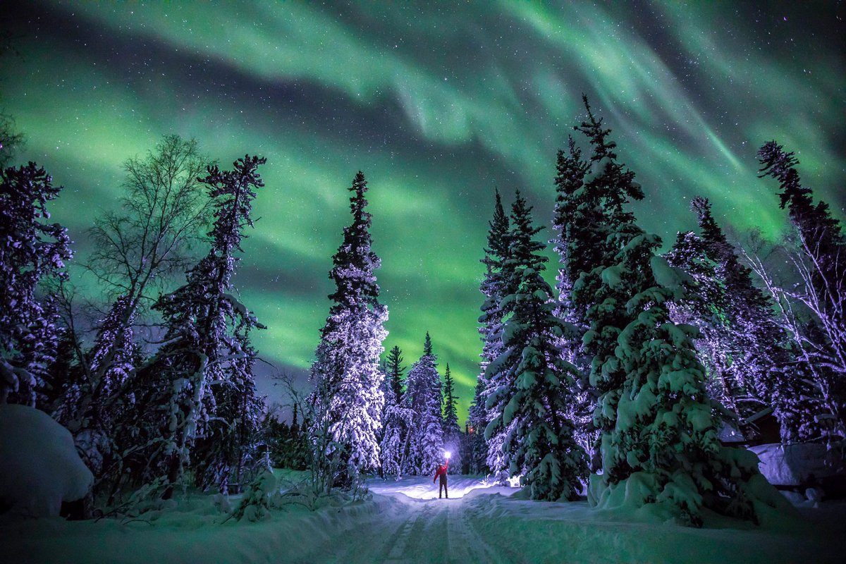 GN! Yellowknife, gets lit up by the stunning northern lights, giving the sky a colorful show that's out of this world!
