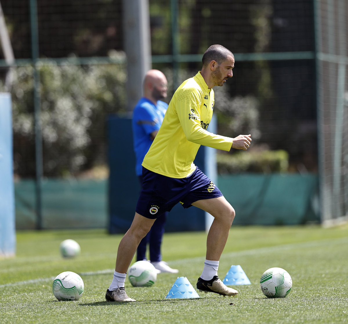 bonucci_leo19's tweet photo. 💪🏻🟡🔵 #LB19 https://t.co/FE2NbXoqHy