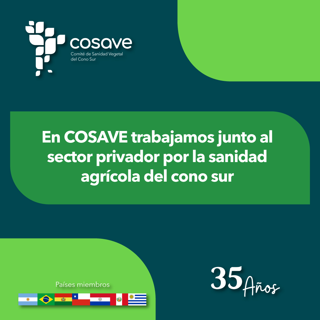 cosaveorg's tweet photo. #COSAVE ha demostrado una participación activa en la Consulta Técnica de Organizaciones Regionales de Protección Fitosanitaria, CTOR, buscando fomentar la cooperación interregional y promover medidas fitosanitarias eficaces. ¡Un paso adelante en la protección fitosanitaria! 👏🎉 https://t.co/SV1gYoQZoG