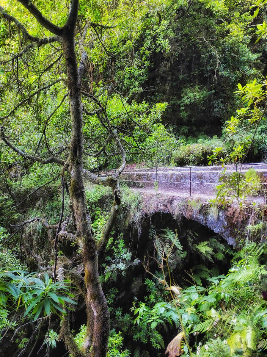 #myphoto #travelphotography #madeira