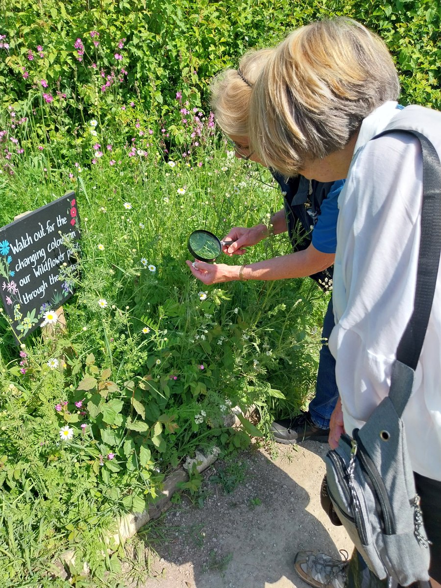 Step into a world of wildflower #wonders! 🌼 ✨ Join us for a special #Wildflower #Walk at #RSPBFairburnIngs where you'll gain #exclusive access to non-public parts of the #reserve. Discover hidden gems and vibrant blooms here: events.rspb.org.uk/events/70878 📷| Heidi Campbell