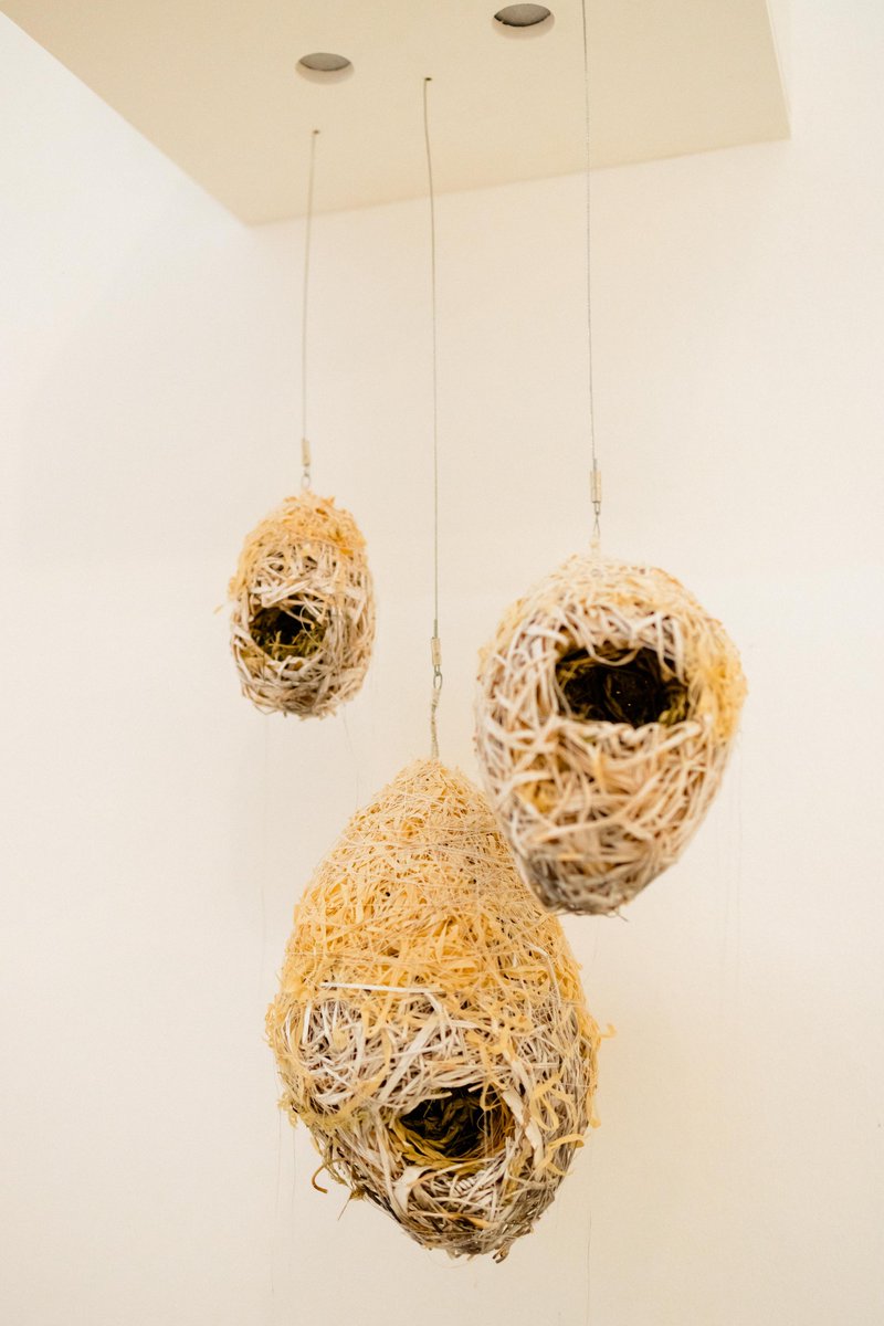 NWU Gallery tweet media