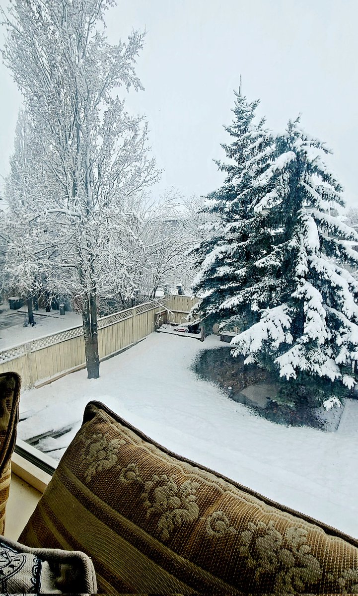 JoMaddenSports's tweet photo. It's April right? ....could someone let mother nature know 😭.
On the positive, at least there's a full slate of action today
#yyc #ineedsunshine https://t.co/Y3bR8lu6Xd