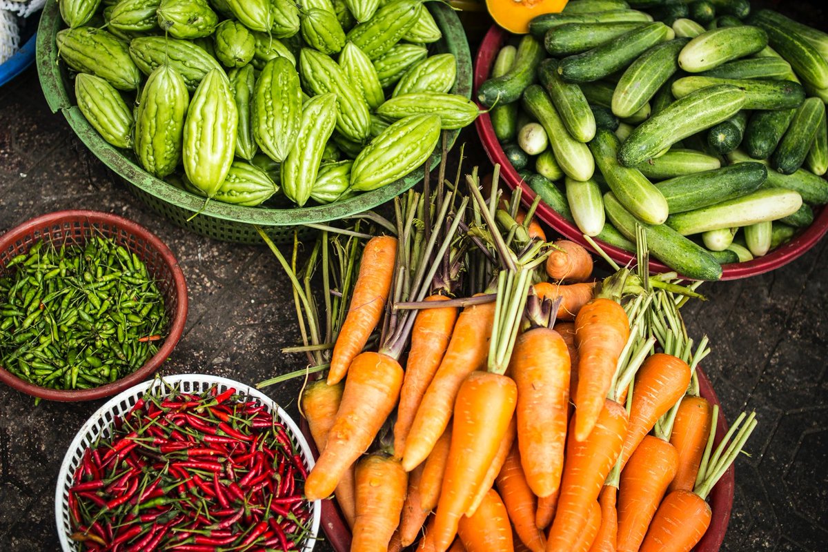 Lebanese🇱🇧 family farm #AgroCedrus redefines #sustainableAg in the Middle East with unique, delicious products like #carob floor, organic #teas and herbs, while empowering other farmers and the #Menjez region! read their story👉 t.ly/r6yKf