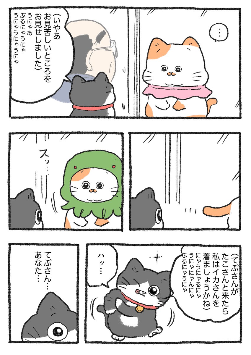 ねこに転生したおじさん。その437