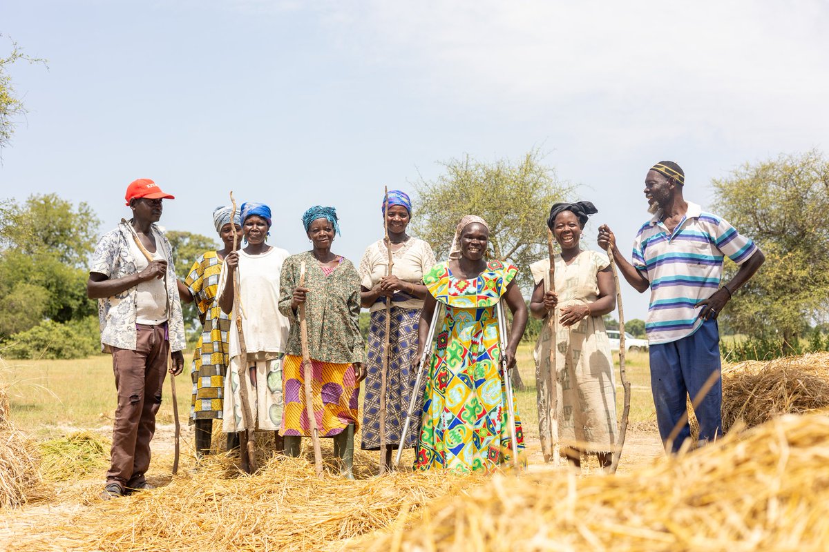 In 2023, @WFP_Ghana's impact was felt far beyond 36,000 direct beneficiaries. By building institutional capacities to support food systems, nutrition, and social protection, over 200,000 more lives were impacted indirectly. Read more: tinyurl.com/2rzjjc33