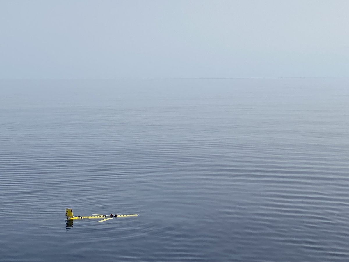 SOCIB (@socib_icts) on Twitter photo #SOCIB ofrece acceso abierto competitivo a su flota de #gliders.
🔝 Iniciamos la misión CESMEC, solicitada por <a href="/UV_EG/">Universitat València</a> <a href="/AsocEDMAKTUB/">Asociación EDMAKTUB</a> y Joint Research Centre. El glider muestreará zonas del corredor de migración de cetáceos del #Mediterráneo🐬
🗺️➡️ apps.socib.es/dapp/
#ICTSNews #SOCIB ofrece acceso abierto competitivo a su flota de #gliders.
🔝 Iniciamos la misión CESMEC, solicitada por <a href="/UV_EG/">Universitat València</a> <a href="/AsocEDMAKTUB/">Asociación EDMAKTUB</a> y Joint Research Centre. El glider muestreará zonas del corredor de migración de cetáceos del #Mediterráneo🐬
🗺️➡️ apps.socib.es/dapp/
#ICTSNews