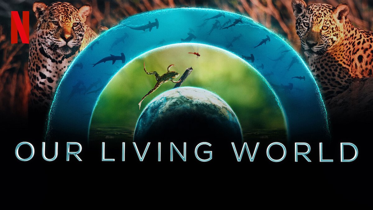 Our Living World on @netflix April 17 with #PostProduction from @filmsat59 This stunning nature series narrated by Cate Blanchett explores the intelligence, resourcefulness and interconnectedness of life on our planet. #ourlivingworld