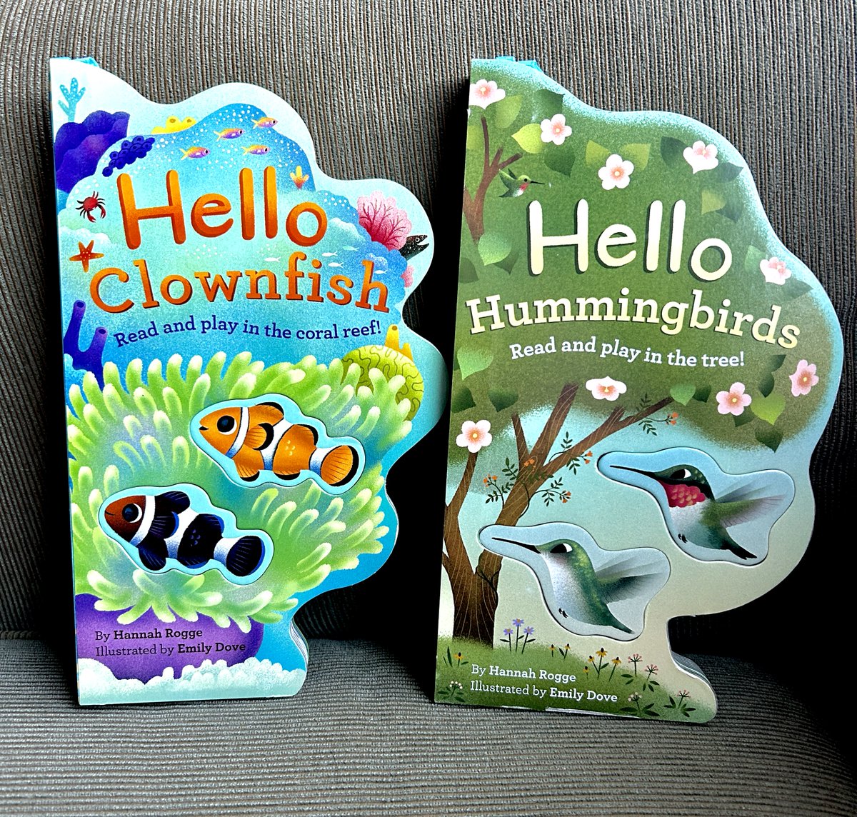 Pop out a #clownfish or #hummingbird while reading about daily activities in HELLO HUMMINGBIRD & HELLO CLOWNFISH by Hannah Rogge @emilydove144 @ChronicleKids sincerelystacie.com/2024/04/childr… #interactivebooks #boardbooks #toddlerbooks #childrensbooks #kidsbooks #kidlit #booksforkids