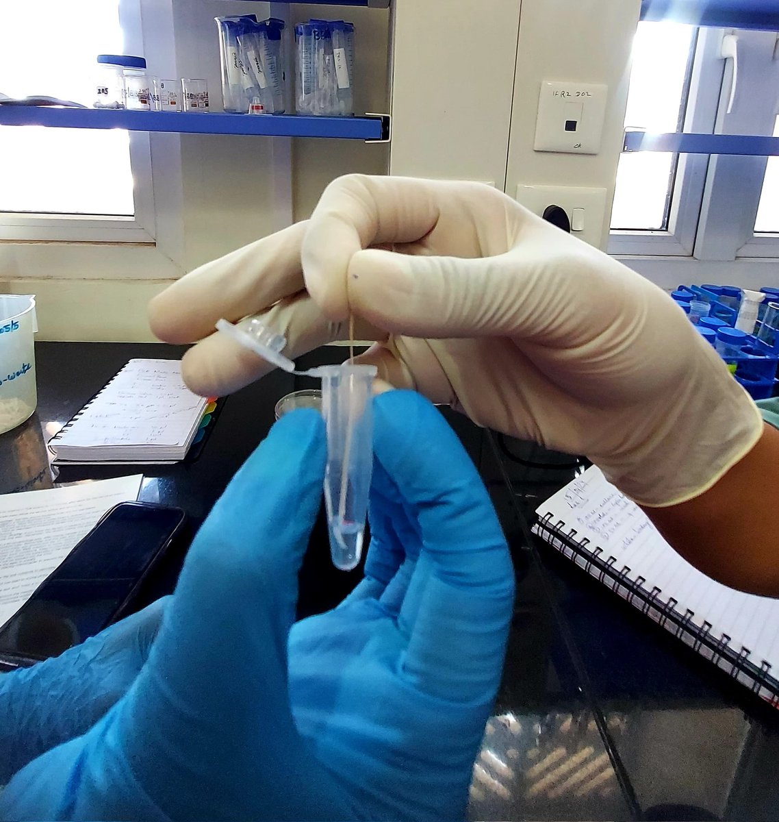 smanoharan_naan's tweet photo. Some of our super excited participants, decided to test our Bento Lab dipstick-extracted DNA for PCR amplification and guess what, with a few tweaks, it worked! https://t.co/T1kPoE8a7g