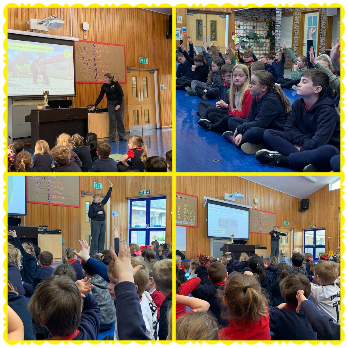 Diolch yn fawr Claire from @DogsTrust for a really great assembly. We really enjoyed learning about giving dogs space 🐶 🐕 and keeping safe #EthicalElin #TEAMOaklands #HealthyHywel