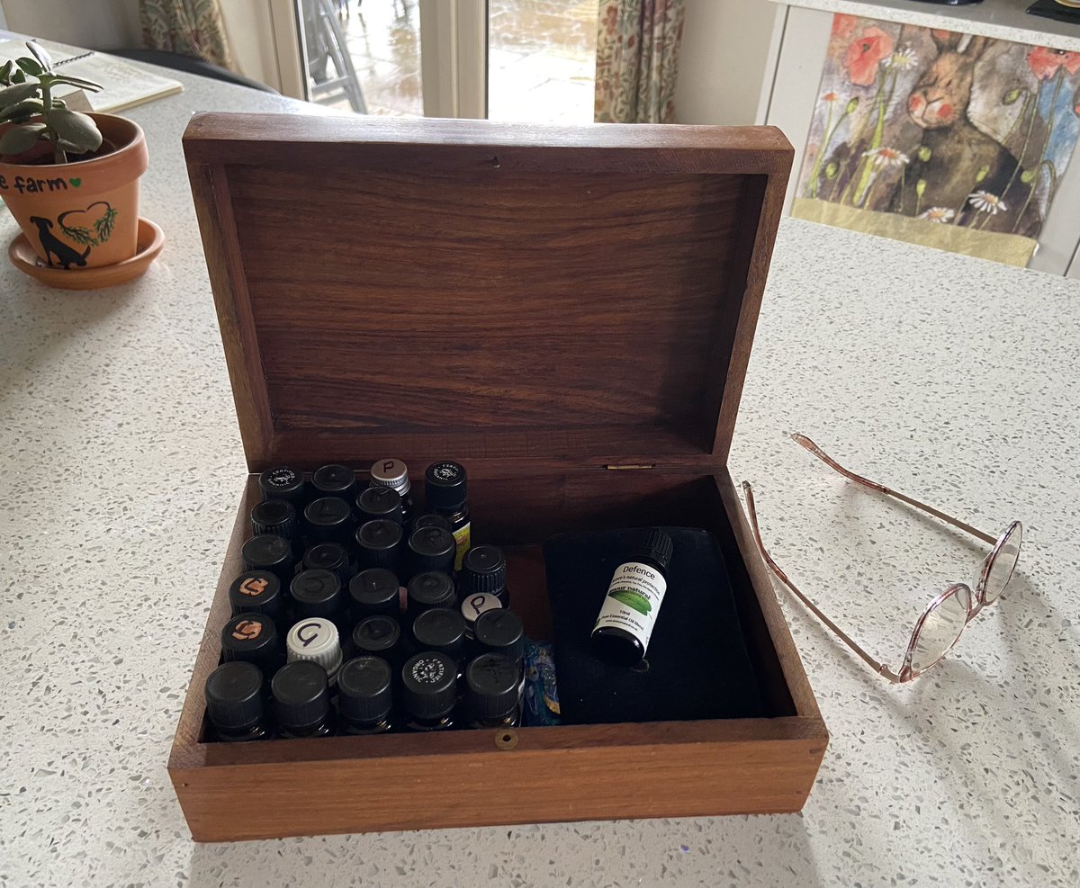 This box of magick smells divine. It holds my aromatherapy oils. These essential oils are joy, bottled! Mostly mine go in a vaporiser to balance our home’s energy. But they have many uses #aromatherapy #HolisticHealth #alternativemedicine #naturaltoiletries #naturalproducts