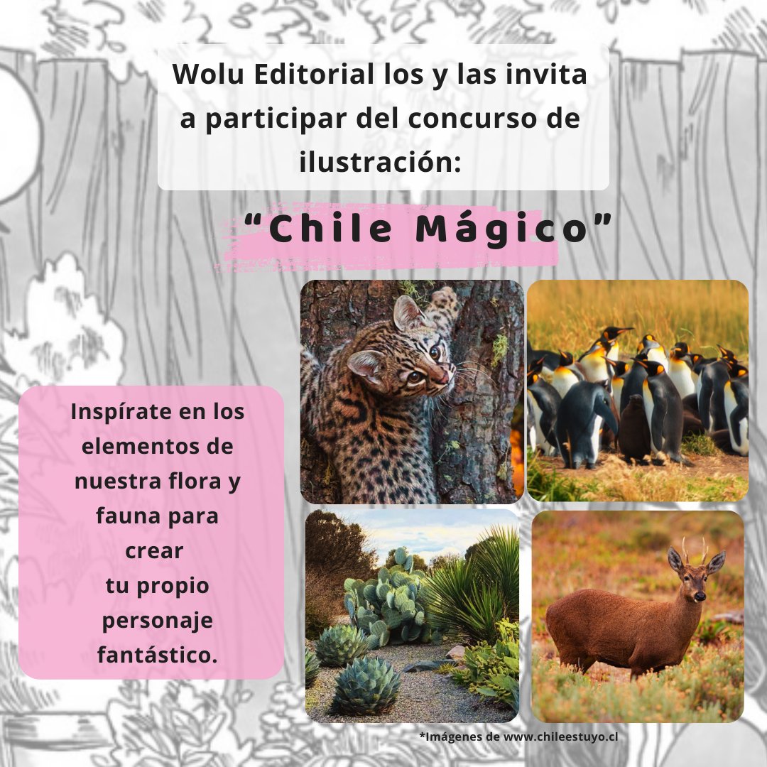 studiowolu's tweet photo. Si vas en 5to a 4to medio tenemos un concurso para ti: Participa diseñando un personaje y gana un tomo del cómic "La Colina de los Tordos"

Participa llenando el formulario: https://t.co/0KLHN4h0OO https://t.co/JUd3tGb76H