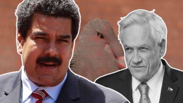 Maduro asegura que Piñera es el responsable de traer al Tren de Aragua a Chile buff.ly/3W5Xn3z