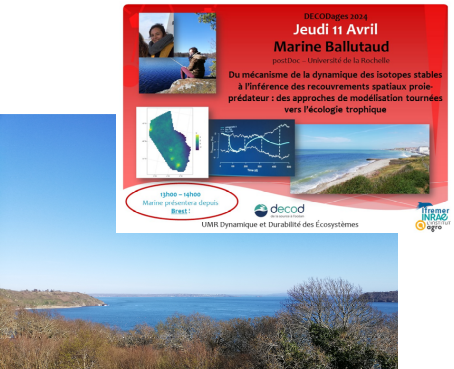 Marine Ballutaud tweet media