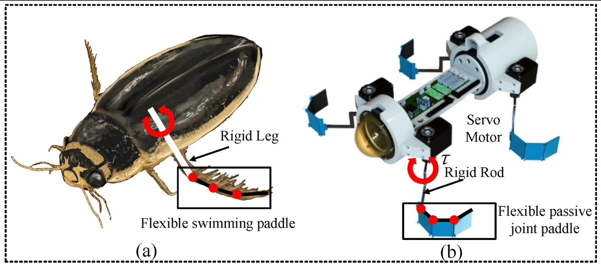 #RecommendedPaper
📰Design and Reality-Based Modeling Optimization of a Flexible Passive Joint Paddle for Swimming Robots by Junzhe Hu, et al.
@UCAS1978
🔎Read the full paper here: mdpi.com/2313-7673/9/1/…
#optimization #bionic #robot