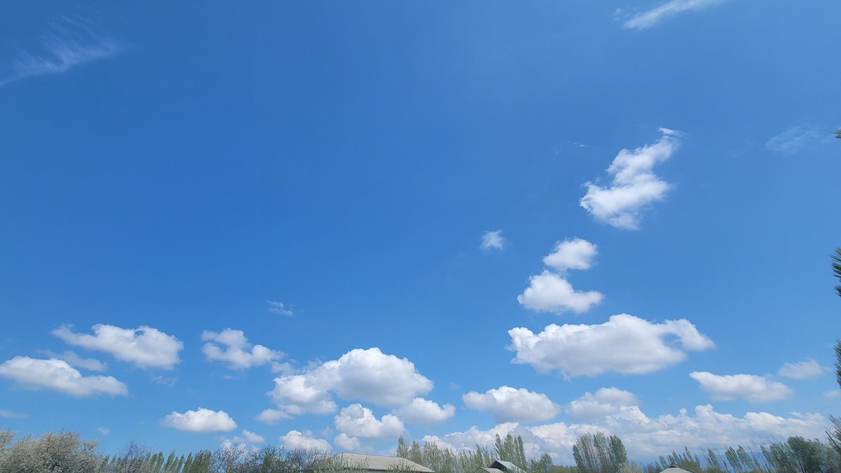 foorevery's tweet image. Qishlog'imda bahor ...
Uch kun deganda havoning avzoyi sal ochildi.
#beautifulspring