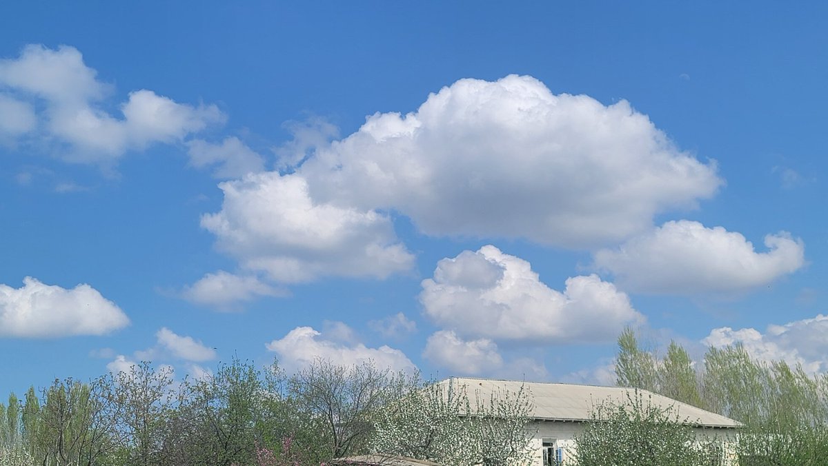 foorevery's tweet image. Qishlog'imda bahor ...
Uch kun deganda havoning avzoyi sal ochildi.
#beautifulspring