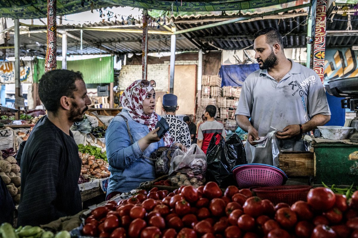🌾 Food Prices in the Region: Despite recent heights, staple food prices are now showing a steady or decreasing trend across most countries. 📉Read the first 2024 Food Policy Monitoring in the Near East and North Africa region: bit.ly/3xk2qCR #FoodSecurity