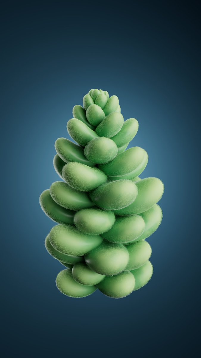 sexwithawhale's tweet image. Working on another plant in my garden

#houdini #procedural #plants #redshift