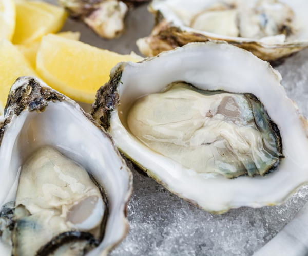 It’s the #oyster season @SunGardensDbk @LeadingHotels 🦪In our Restaurant Cilantro, you can enjoy the perfect fusion of freshly harvested oysters from Mali Ston Bay area and authentic wines, resonating with citrus and Mediterranean accents. #sungardensdubrovnik