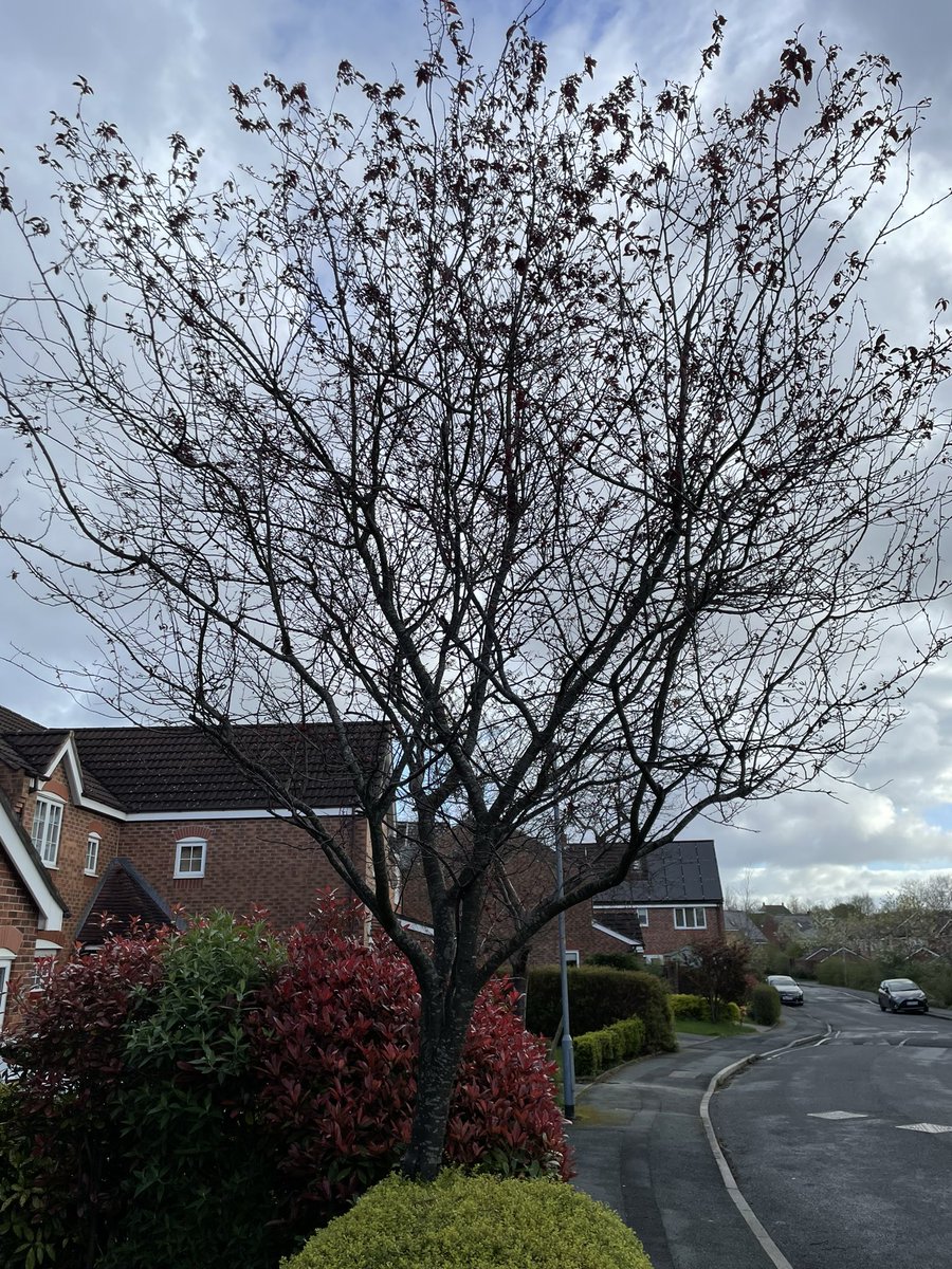 Paul Braddock tweet media