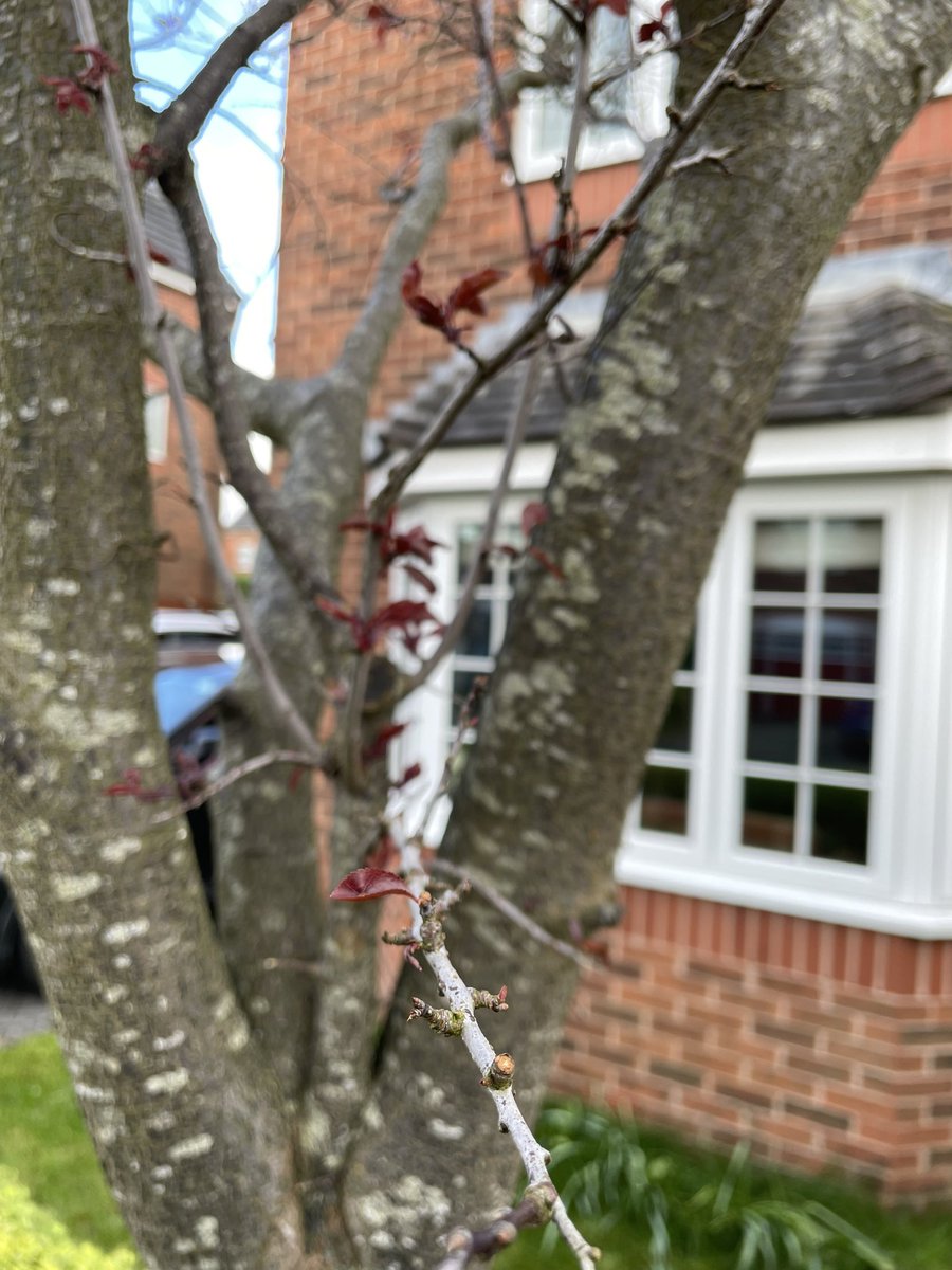 Paul Braddock tweet media