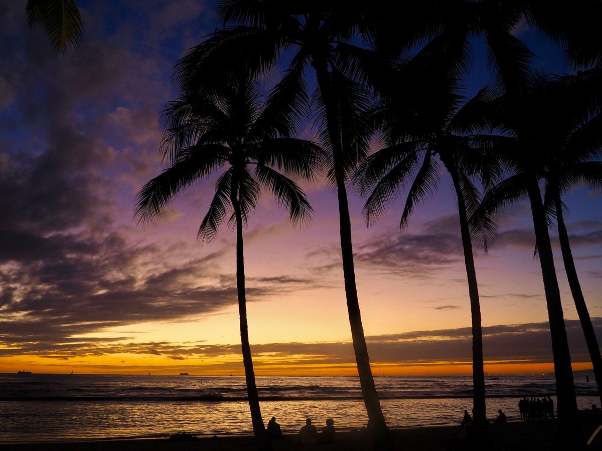 justamuddle's tweet photo. En-route across the Pacific, I stopped for a short break to Oahu, Hawaii. Follow my travel diary for all the highlights from hiking to snorkelling 🌺 #HawaiiTravel #OahuAdventure https://t.co/anEb4olfc7 https://t.co/wQFyi1T0Li