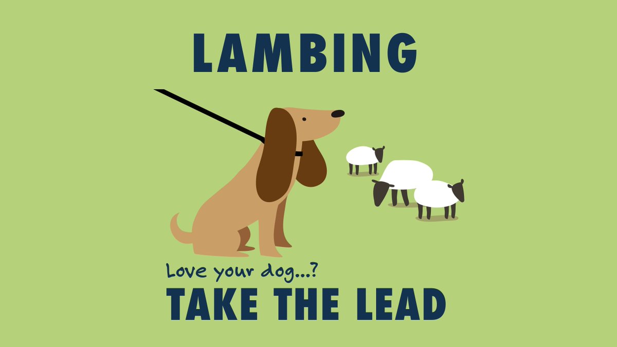 If you're heading to #SycamoreGap along #HadriansWall, please keep dogs on leads as the surrounding land is working farmland and there are many new born lambs around.
Be a responsible pet-owner and #TakeTheLead.