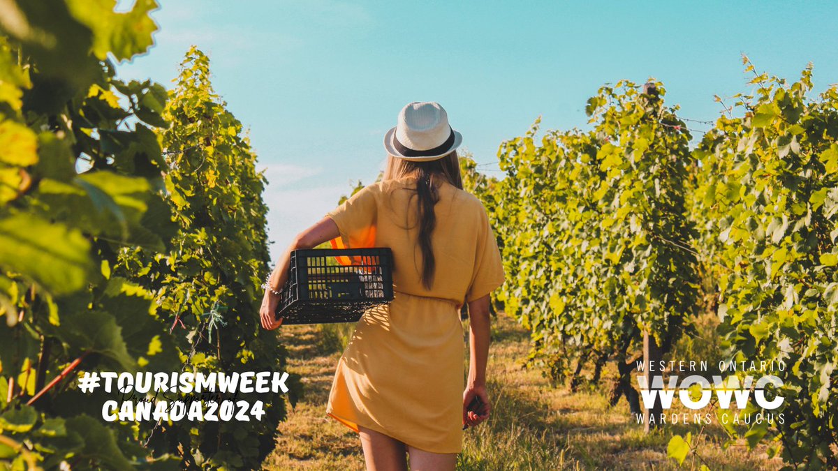 Celebrating #TourismWeekCanada2024! Shining a spotlight on @OntSouthwest, the driving force behind #tourism in SW #Ontario. Collaborating with businesses, they showcase the region's vibrancy. From landscape to cultural experiences, #SWONT is a must visit! bit.ly/4czzBm2