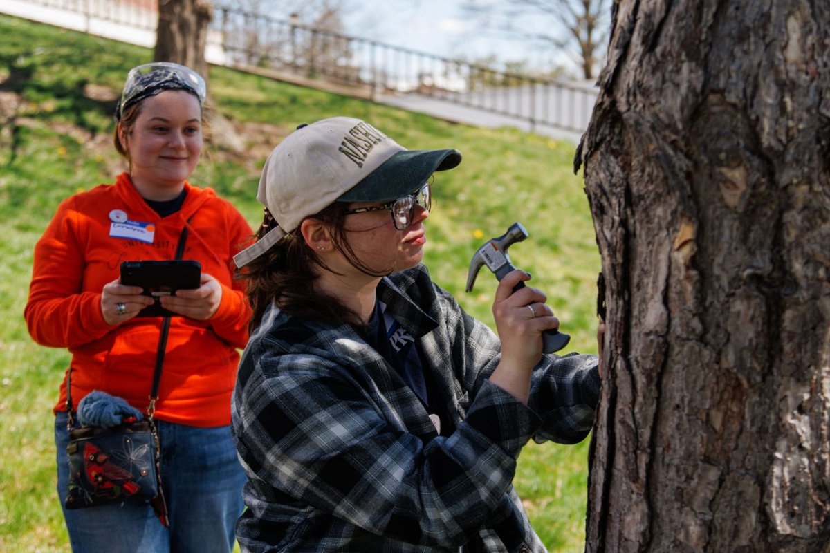IllinoisStateU's tweet photo. Nearly 40 Illinois State University students rolled up their sleeves last Friday to make a #RedbirdImpact during @redbirdimpact’s Bring it Back to Normal service event. Read the recap: 
https://t.co/sW214lxK9x https://t.co/j0BbifBLCY