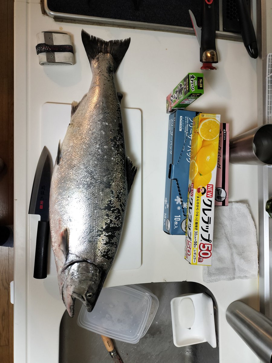 ともすずか tweet media